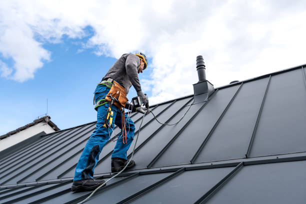 Best Roof Maintenance and Cleaning  in Leadville, CO